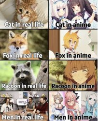 100kanojo nekonari tama catgirl Meme Template