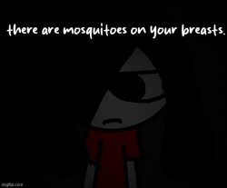 there are mosquitoes on your breasts Meme Template