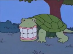 Denture Turtle Meme Template