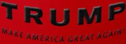 Trump MAGA Meme Template