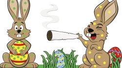 Easter weed Meme Template