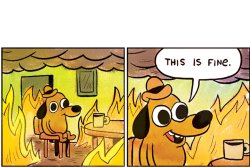 This is fine dog Meme Template