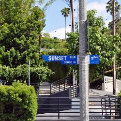 ... the foundation of perseverance. Meme Template