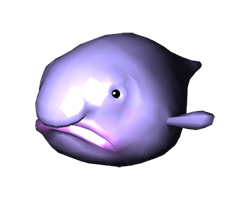 Blob fish Meme Template