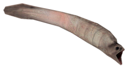 Leech Meme Template