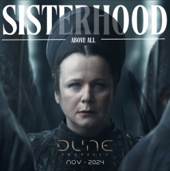 Sisterhood above all Meme Template