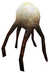 Xen fungus Meme Template