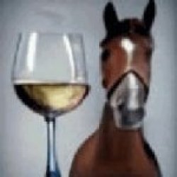 wine horse Meme Template