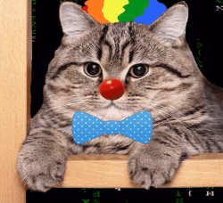 Clown Cat Meme Template