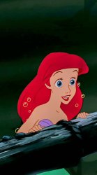 ariel is here Meme Template