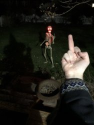 Skeleton Middle Finger Meme Template