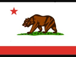 California state flag Meme Template