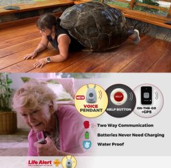 tortuela cant get up Meme Template