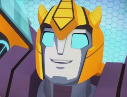 happy bumblebee Meme Template