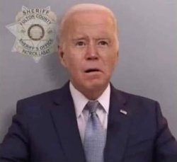 Joe Biden Meme Template