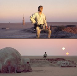 luke tatooine sunset Meme Template