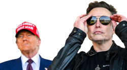 Trump Musk Meme Template