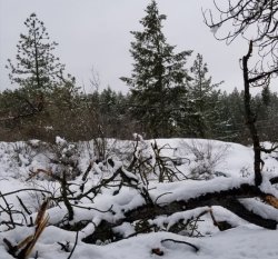 Winter's Day. Meme Template