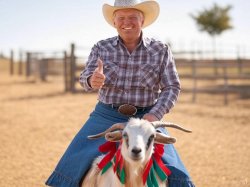 donald trump riding a goat dressed as cowgirl cowboy Meme Template