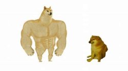 Swole Doge vs. Cheems Meme Template