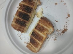nethercanary6 grilled cheese Meme Template