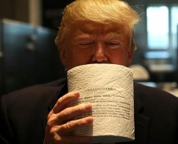 Donald Trump toilet paper Constitution Meme Template