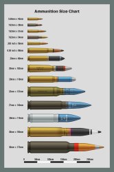 Bullet size chart Meme Template