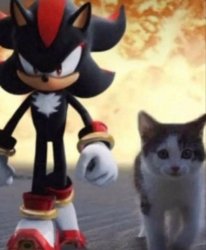 Shadow and cat Meme Template