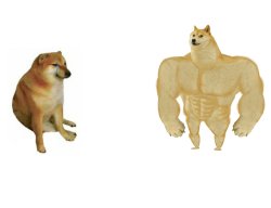 Buff Doge vs. Cheems mirrored Meme Template