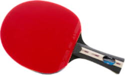 Table Tennis Bat Meme Template