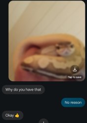 Why do you have that Meme Template