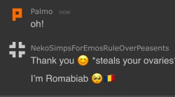 Neko stole Palmo’s ovaries Meme Template