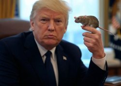 Donald Trump holding a mouse RB60 Arbie Meme Template