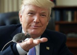 Donald Trump holding a mouse RB60 Arbie Meme Template