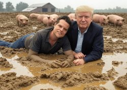 Donald Trump Matt Gaetz wallowing in mud Pigs Meme Template