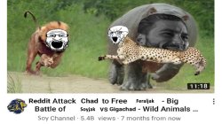 Soyjak vs gigachad wildlife nature Meme Template