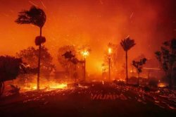 California Wildfires Los Angeles 2025 Meme Template