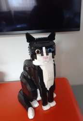 Lego Tuxedo Cat Meme Template