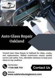 Auto Glass Repair Oakland Meme Template