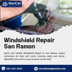 Windshield Repair San Ramon Meme Template