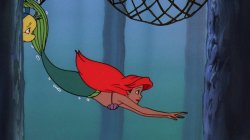 ariel swimming around Meme Template