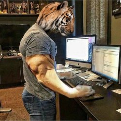 Chad Techno Tiger Meme Template