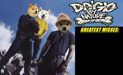 Dogo by Nature: Greartest Misses Meme Template