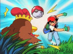 COQINU pokemon Meme Template