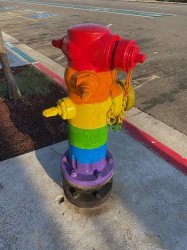 Rainbow fire hydrant Meme Template