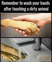 Wash your hands Meme Template