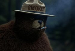 Smokey the Bear Meme Template