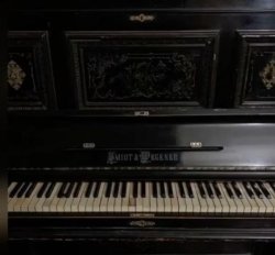 Piano. Meme Template