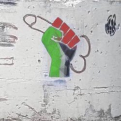 Free Palestine Meme Template
