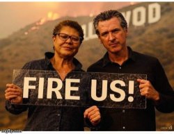 Fire LA Mayor Karen & Gavin Newsom Meme Template